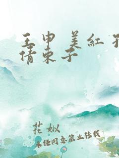 王申 美红 孙倩东子