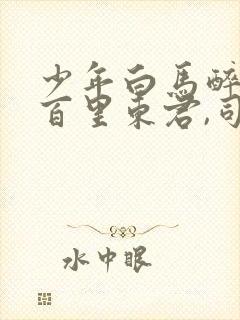 少年白马醉春风百里东君,司空长风完整版