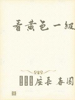 看黄色一级片子