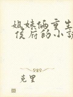 姐妹俩重生换嫁 侯府的小说