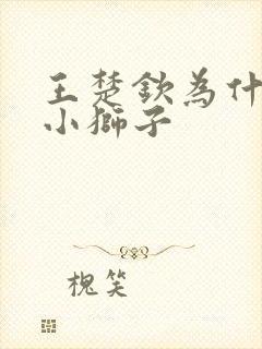 王楚钦为什么叫小狮子