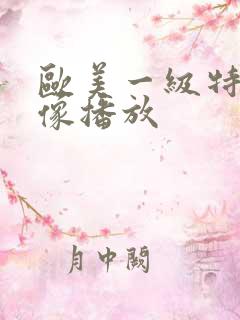 欧美一级特黄录像播放