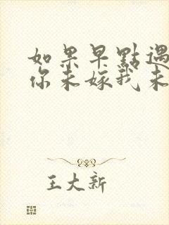 如果早点遇见你你未嫁我未娶是什么歌