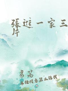 张进一家三口照片