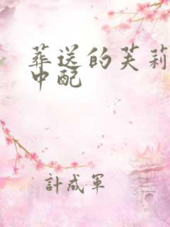 葬送的芙莉莲 中配