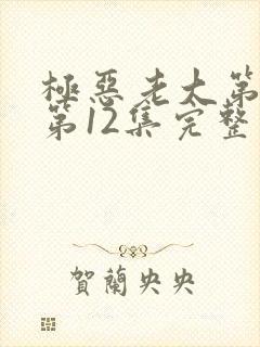 极恶老大第二季第12集完整版