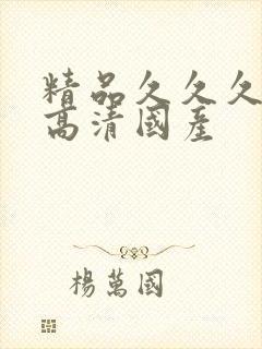 精品久久久久久高清国产