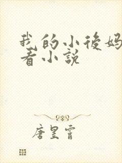 我的小后妈免费看小说