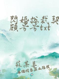 闪婚总裁契约妻顾兮兮txt