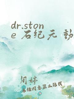 dr.stone 石纪元 动漫