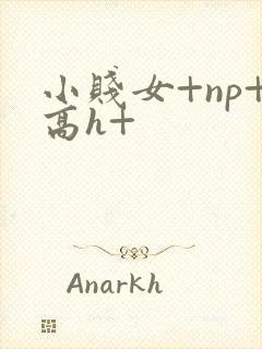 小贱女+np+高h+