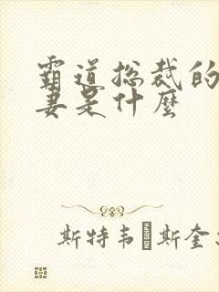 霸道总裁的小娇妻是什么