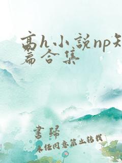 高h小说np短篇合集