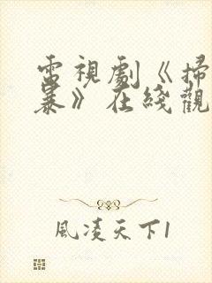 电视剧《扫毒风暴》在线观看高清