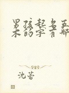 男孩起名五行属木的字有哪些