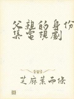 父亲的身份36集电视剧