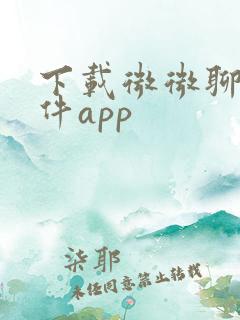 下载微微聊天软件app