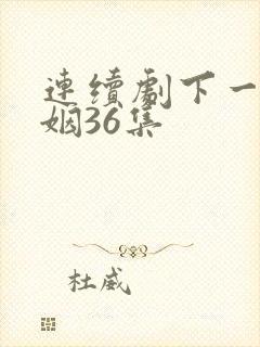 连续剧下一站婚姻36集