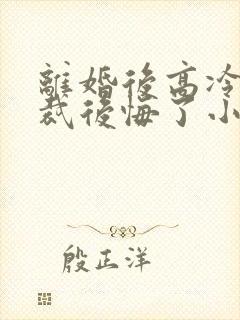 离婚后高冷女总裁后悔了小说在线阅读