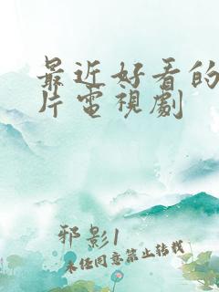 最近好看的谍战片电视剧