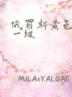 俄罗斯黄色录像一级