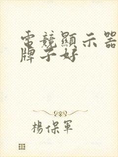 电竞显示器什么牌子好