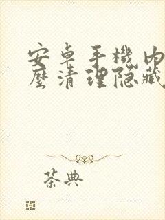 安卓手机内存怎么清理隐藏的内存