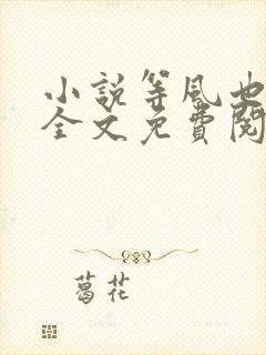 小说等风也等你全文免费阅读