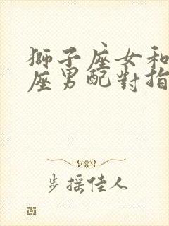 狮子座女和双子座男配对指数