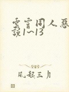 云霄同人恶堕小说1~13