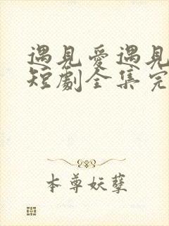 遇见爱遇见幸福短剧全集完整版