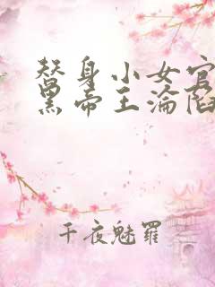 替身小女官,腹黑帝王沦陷了江清慈大结局