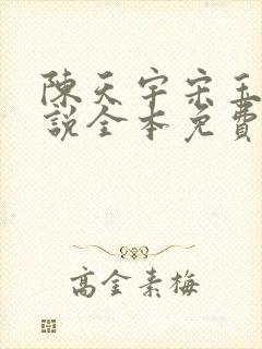 陈天宇宋玉婷小说全本免费阅读