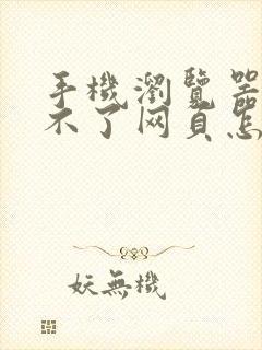 手机浏览器打开不了网页怎么办