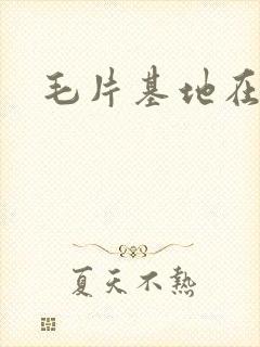 毛片基地在线看