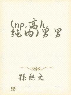 (np,高h,纯肉)男男