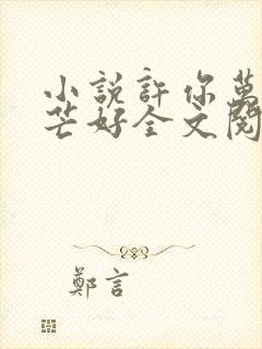 小说许你万丈光芒好全文阅读