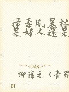 扫毒风暴林强峰是好人还是坏人