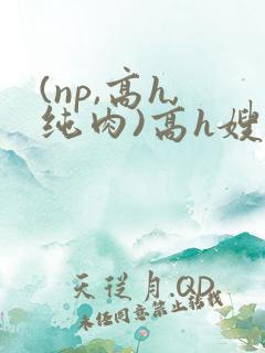 (np,高h,纯肉)高h嫂子