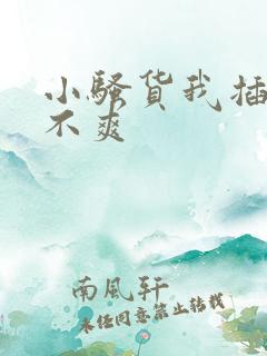 小骚货我插的爽不爽