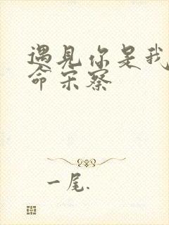 遇见你是我的宿命宋察