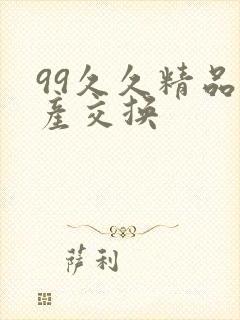 99久久精品国产交换