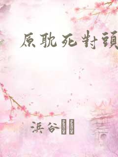原耽死对头