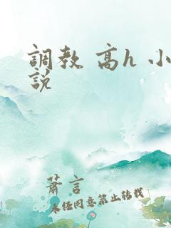 调教 高h 小说