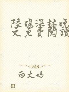 陆砚深林晚辞全文免费阅读