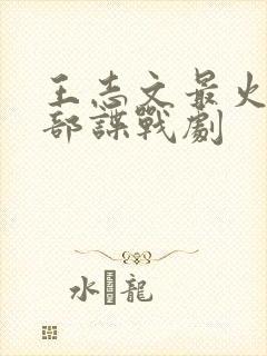 王志文最火的5部谍战剧