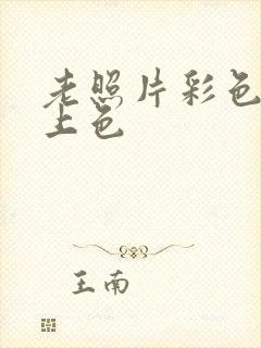 老照片彩色修复上色