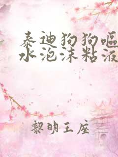 泰迪狗狗呕吐黄水泡沫粘液怎么办