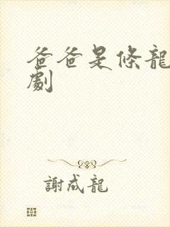 爸爸是条龙电视剧