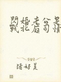 闪婚老公是豪门战北庭司情短剧